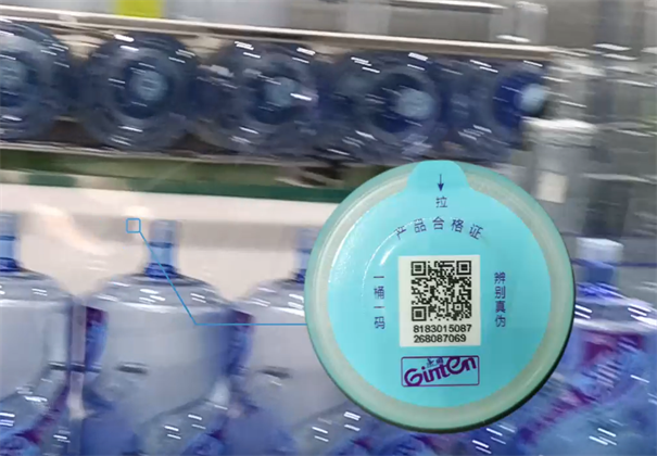 企业微信截图_17321824776312.png