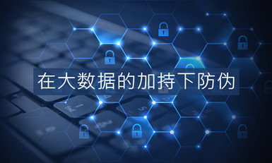 如何在大数据的加持下做到防伪？